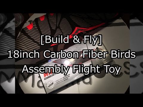 18Inches Carbon Fiber Imitate Birds Assembly Flapping Wing Flight PlaYR BLY 