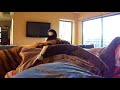 waking up with enzo the tiger