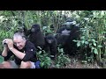 Touched by a Wild Mountain Gorilla (no music)