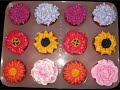 Hydrangeas, Gerber Daisies, and air drying the flowers
