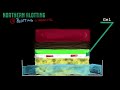 Northern Blotting - Biology Tutorial