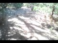 20101213_023957.AVI