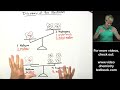 Atomic Structure: Discovery of the Neutron