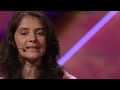 Suzana Herculano-Houzel: What is so special about the human brain?