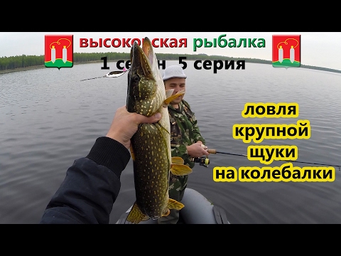 почему летом щука не клюет почему летом щука не клюет