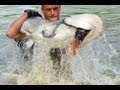 Waller-Unterwassergigant. Waller-Unterwassergigant.