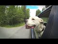 Wind In My Ears