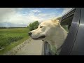 Wind In My Ears