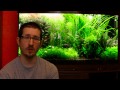 Science Alliance Episode 2: Dirt Substrate in a Planted Tank