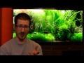 Science Alliance Episode 2: Dirt Substrate in a Planted Tank
