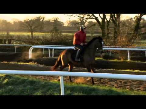 Speed dating cheltenham 2015