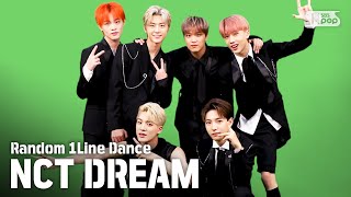 [랜덤1열댄스] RANDOM 1LINE DANCE NCT DREAM (엔시티 드림)