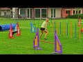 Le, agility training