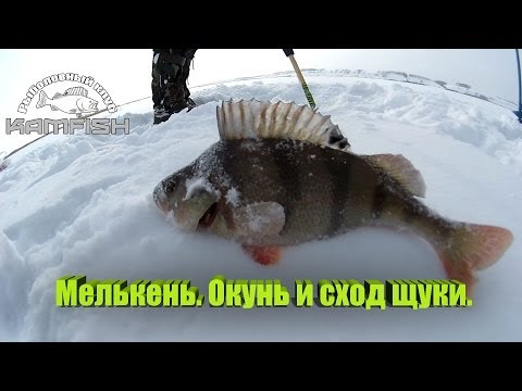 погода и клев в мензелинске погода и клев в мензелинске