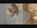 Installing a privacy handle door