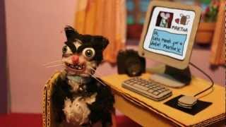 Na internet, ninguém sabe que és…