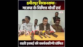 हमीरपुर विधानसभा : भाजपा के विभिन्न मोर्चों एवं शहरी इकाई की कार्यकारिणी घोषित