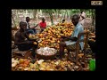 Report on Ghana's economy in 2013 so far by the MPC
