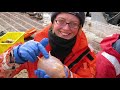 True Facts About The Sea Pig