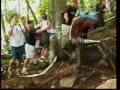 
Nitro Circus: Downhill M