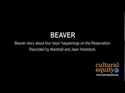 Parlametrics: Beaver II