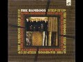 The Bamboos - In The Bamboo Groove.avi