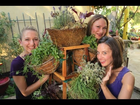 Vertical Herb Garden That Spins and Functions Like a "Living Spice Rack!"