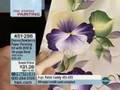 Donna Dewberry One Stroke Paper Painting Kit with DVD