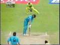Watch this awesome cricket amazing