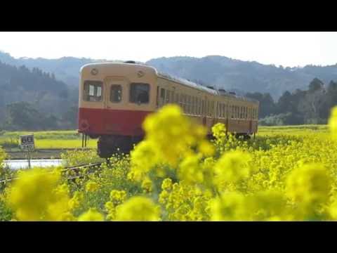 【千葉PR】春（３）小湊鉄道