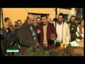 Le colline pisane