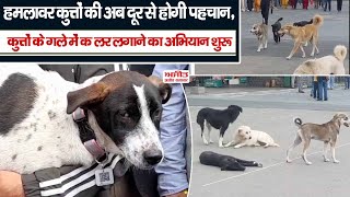 हमलावर कुत्तों की अब दूर से होगी पहचान, आवारा कुत्तों के QR कोड और GPS ट्रैकर