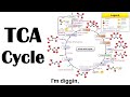 TCA (Kreb's) Cycle Rap - Wilson Lam (Macklemore - Thrift Shop Parody)