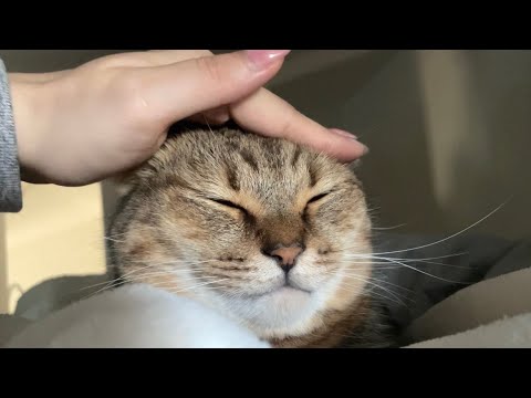 みにら君のかわいい瞬間とファンクラブ情報 サムネイル