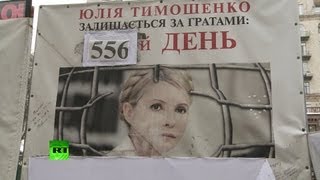 Срок Юлии Тимошенко может быть увеличен до пожизненного