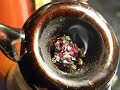 Mr.Davis Marijuana Strain- BubbleGum Kush!