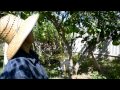 Moms Cambodian Garden