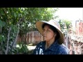 Moms Cambodian Garden
