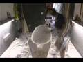 Time-lapse surfboard shaping