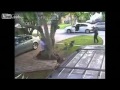 Miami-Dade Police Head Shot Leaves Man Dead. WARNING GRAPHIC.