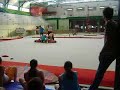 miniature
