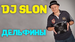 Dj Slon - Дельфины (Все Дельфины В Ураган) | Аудио - YouTube