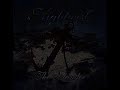 Dark Passion Play (instrumental) - The islander