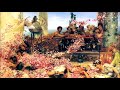 Handel's 'Va tacito e nascosto' - Lawrence Zazzo