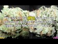 LED Grow Light 205W Penetrator vs 400W HPS Medical Marijuana Grow.mpg