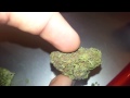 Ca medical marijuana purple urkle, white fire (san Francisco)