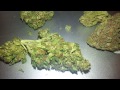 Ca medical marijuana purple urkle, white fire (san Francisco)