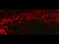 Kontor.TV - Avicii ft Alesso. God bless Sweden