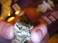 Harvesting Cannabis WEIGH IN