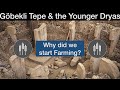 Gobekli Tepe & the Younger Dryas why did we start farming